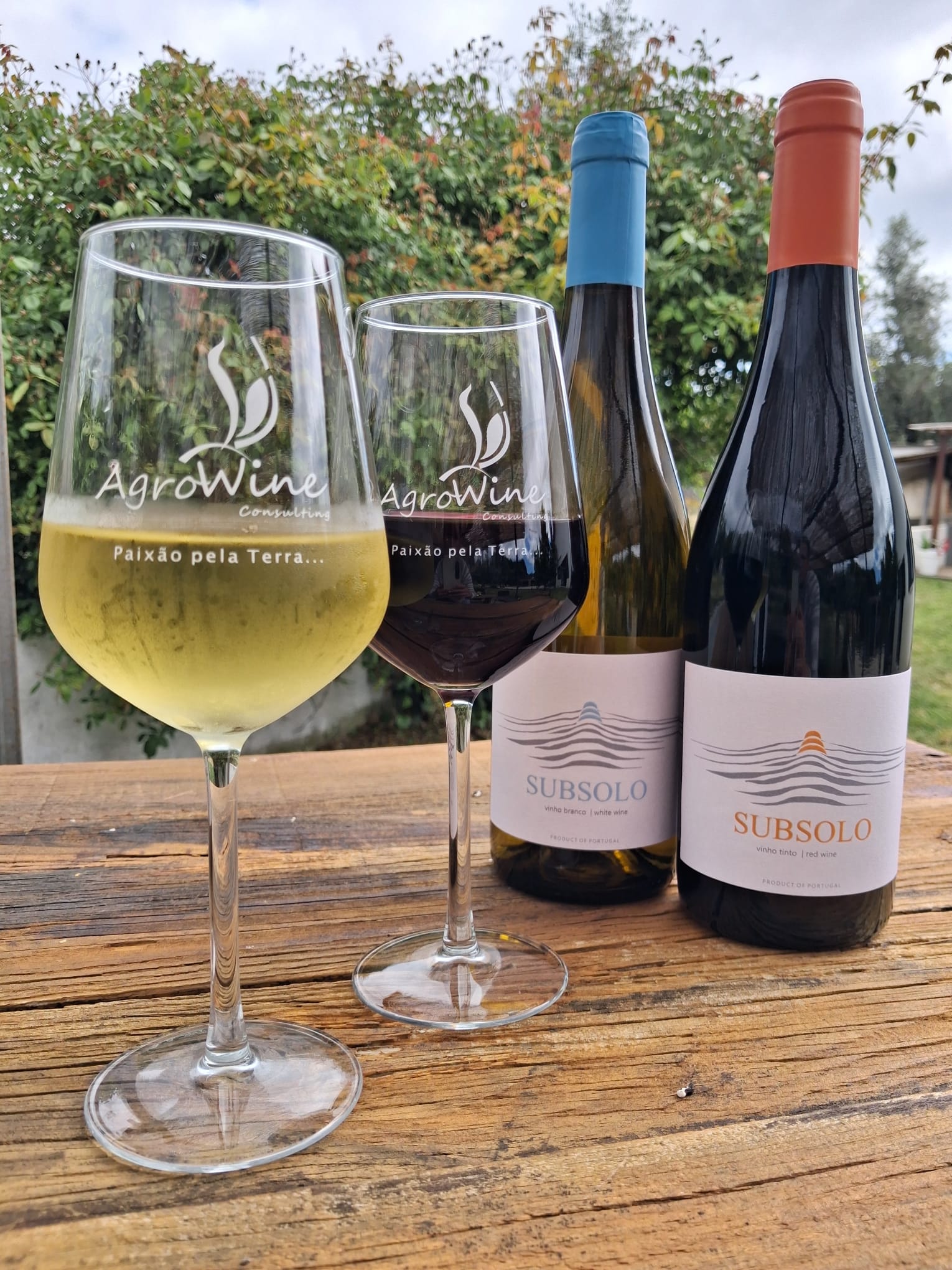 Prova Descoberta — dois vinhos Subsolo