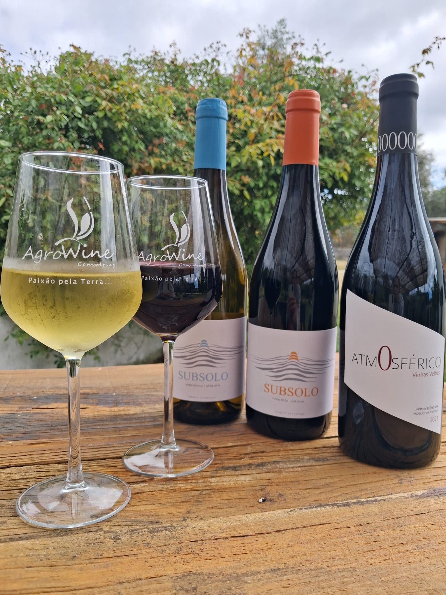 Prova Essência — três vinhos e enchidos